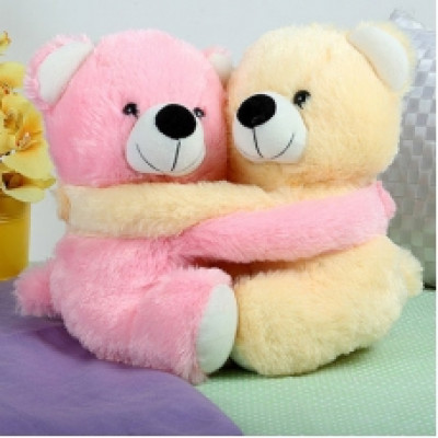 Hugging Teddy Duo Soft Toy